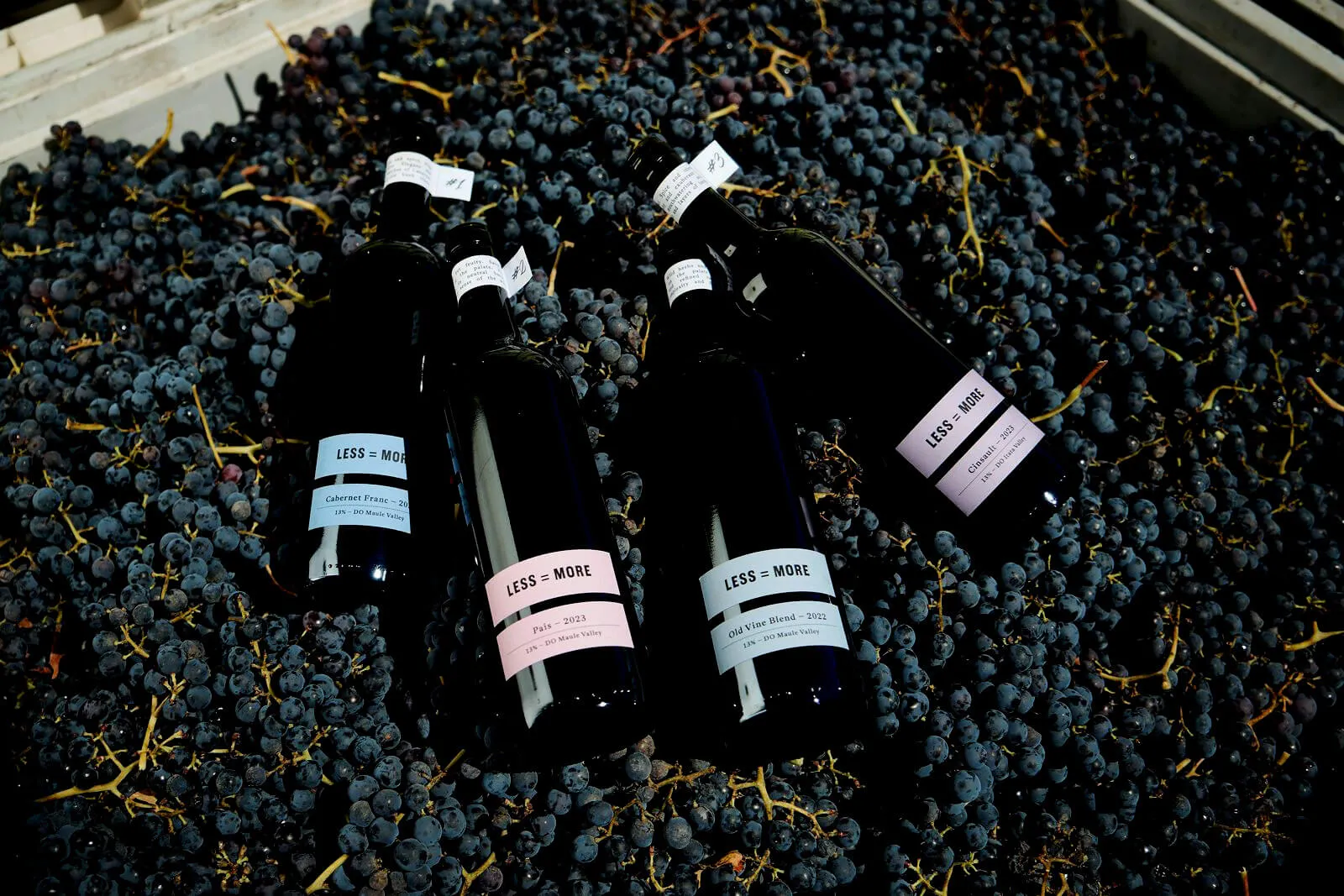 Wine bottles laying on top of grapes